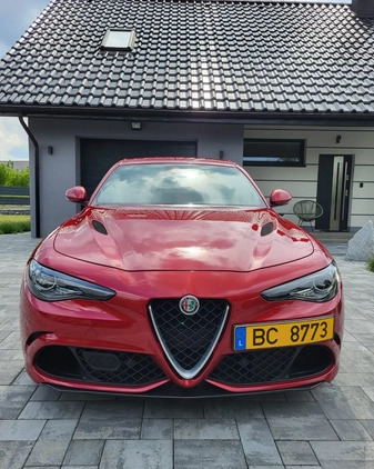 Alfa Romeo Giulia cena 219000 przebieg: 52500, rok produkcji 2017 z Kraków małe 277